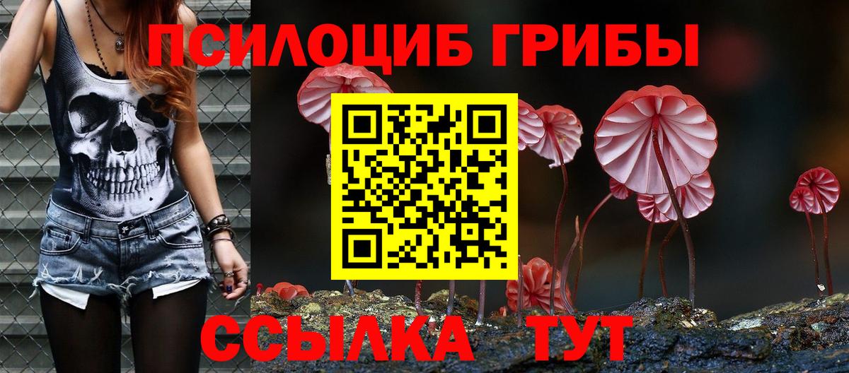 Грязи  Псилоцибиновые грибы мухоморы  Вход с VPN 